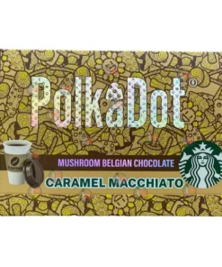 polkadot mushroom chocolate