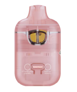 boutiq switch 2g disposable review